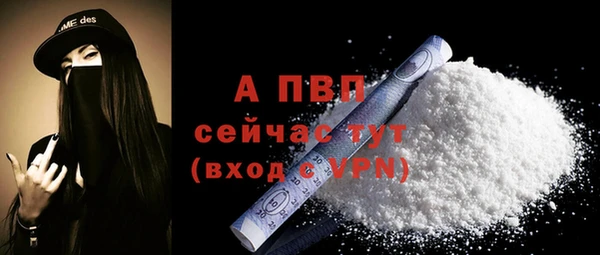 твердый Горняк