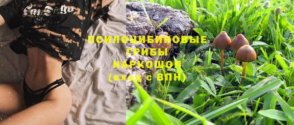 твердый Горняк