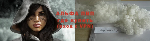 твердый Горняк