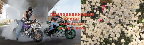 гидра Горно-Алтайск