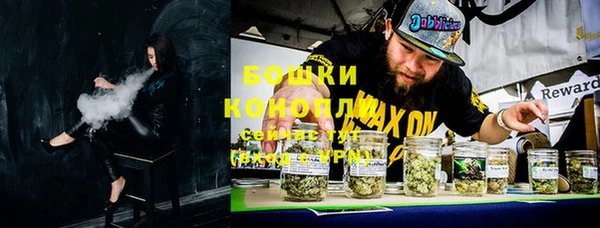 гидра Горно-Алтайск