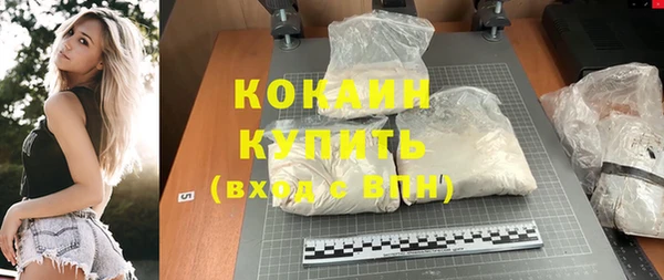 гидра Горно-Алтайск